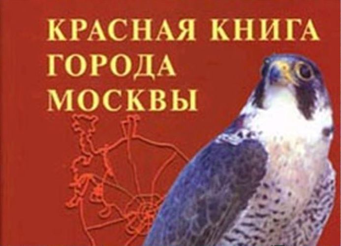 Фото красная книга московской области
